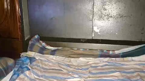 anis4551 online show from 12, 1, 2026