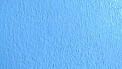 ana independent model online show from 2, 12, 2024