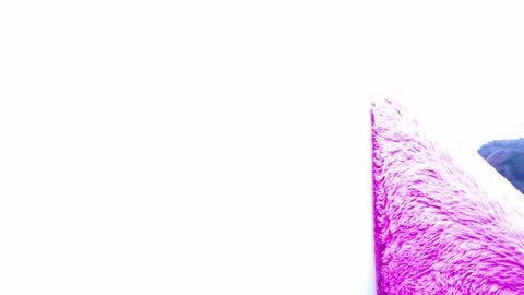 ana independent model online show from 15, 1, 2025