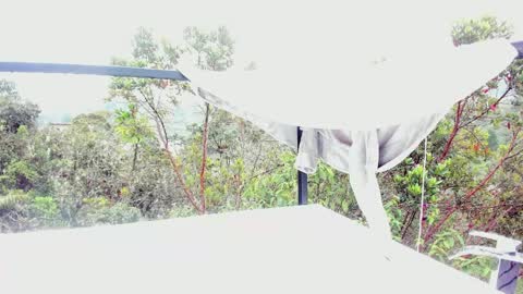  Anna Weells  online show from 30, 3, 2026