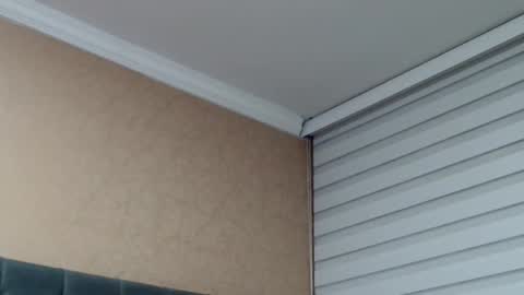       online show from 19, 2, 2026