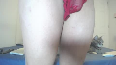 Snapshot of anny_bunny1 chatting on 11, 7, 2026 INDEPENDENT MODEL next srteam 240624 online show from 11, 7, 2026