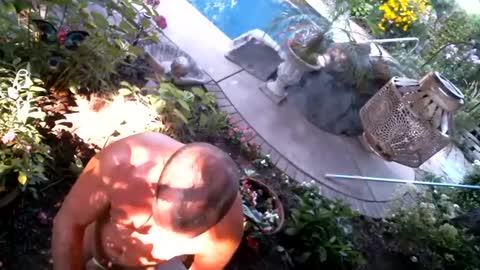 Snapshot of anoaklawnguy chatting on 14, 9, 2025 anoaklawnguy online show from 14, 9, 2025