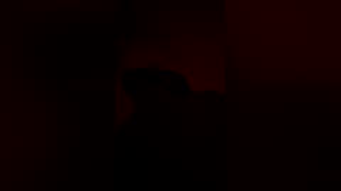 anonomouselee online show from 16, 3, 2026