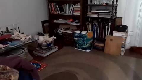 Snapshot of antonino85 chatting on 24, 12, 2024 antonino85 online show from 24, 12, 2024