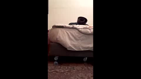 antonino85 online show from 10, 2, 2026