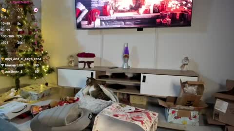 Anyi  Orion and Pyxis online show from 7, 1, 2025