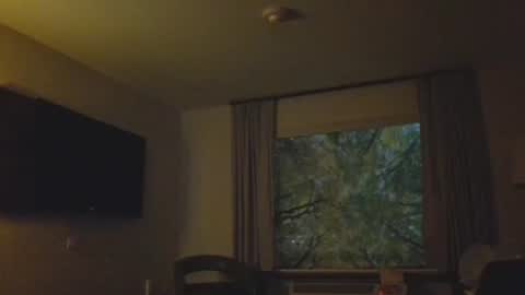 Daddy online show from 8, 11, 2025