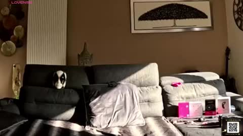 Snapshot of apollonfitx_69 chatting on 1, 2, 2026 apollonfitx_69 online show from 1, 2, 2026