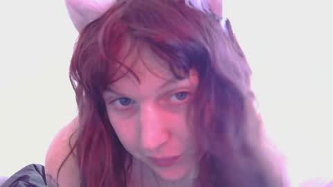 april_kitty online show from 31, 3, 2026