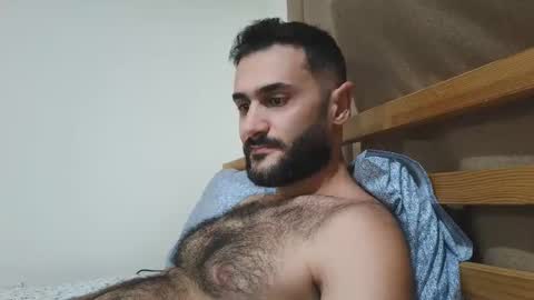 Snapshot of arabhairy90 chatting on 22, 12, 2024 hairycub online show from 22, 12, 2024