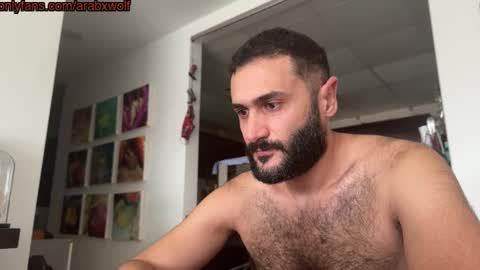 Snapshot of arabhairy90 chatting on 9, 11, 2025 hairycub online show from 9, 11, 2025