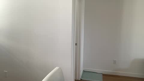 arabianprincess37 online show from 7, 3, 2026