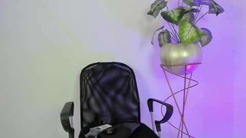   online show from 11, 1, 2025