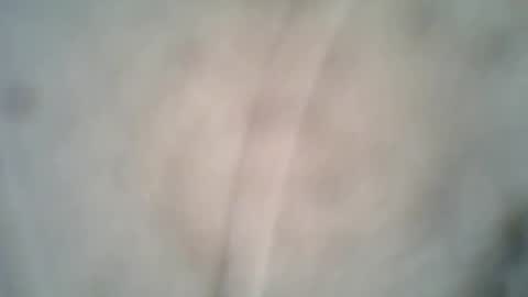 olo online show from 8, 10, 2025