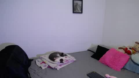  777 online show from 26, 2, 2026