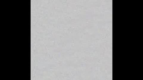 Arianna Collins online show from 25, 2, 2026