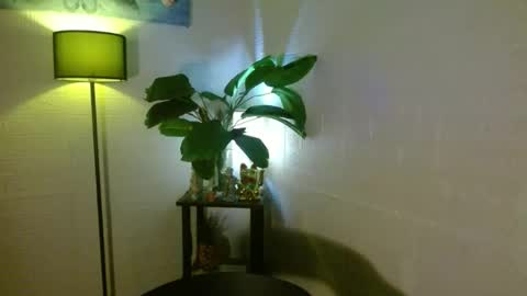 Your love arianna online show from 16, 2, 2025