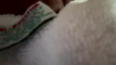 Snapshot of arley1966 chatting on 2, 4, 2026 arley1966 online show from 2, 4, 2026