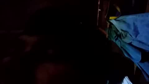 Snapshot of arvy95198 chatting on 12, 10, 2025 arvy95198 online show from 12, 10, 2025