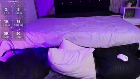    online show from 3, 11, 2025