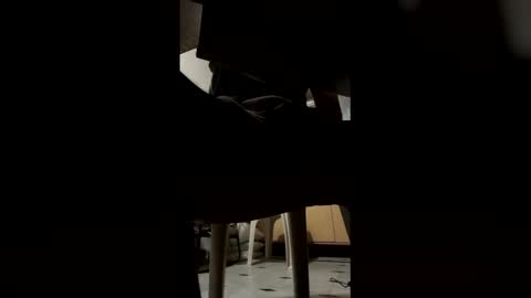 ashutoshkhanna online show from 15, 2, 2026