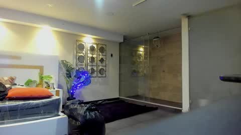 PAO   online show from 23, 12, 2025