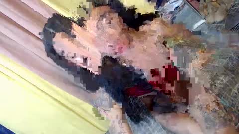 don online show from 30, 1, 2025