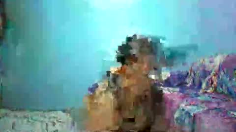 ann online show from 26, 4, 2026