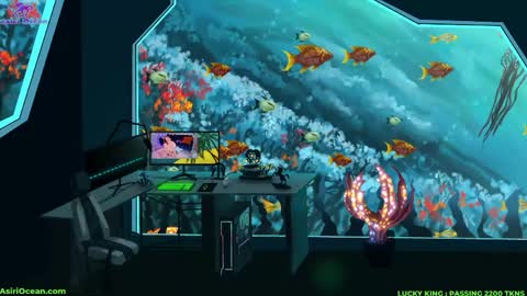 Asiri   pronounced Ah-siri Please no nicknames   3 online show from 31, 3, 2026