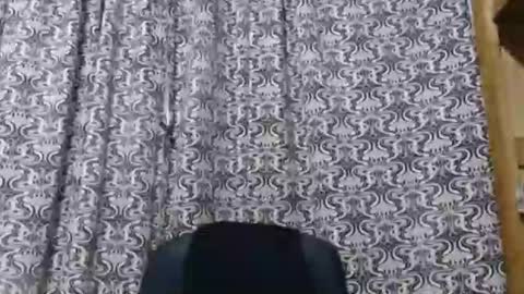 Snapshot of aslanne chatting on 30, 5, 2026 aslanne online show from 30, 5, 2026