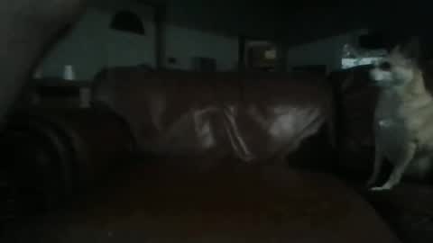 Snapshot of assholeslut9000 chatting on 2, 6, 2026 Tell me spread and Ill spread online show from 2, 6, 2026