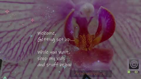 Atrena online show from 15, 4, 2026