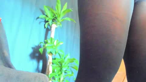 Audry online show from 14, 2, 2026