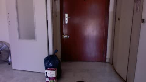 auguste688483 online show from 13, 3, 2026