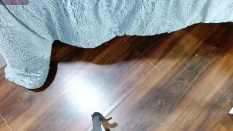 Snapshot of aurora_blossom__ chatting on 28, 1, 2025 Aurora online show from 28, 1, 2025