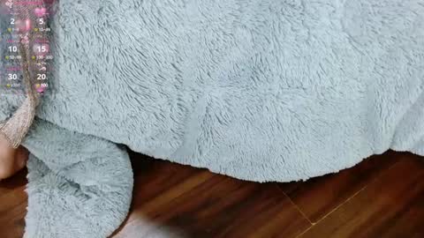 Snapshot of aurora_blossom__ chatting on 29, 1, 2025 Aurora online show from 29, 1, 2025