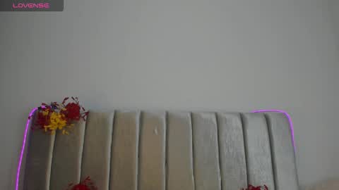 Snapshot of aurora_johnson_ chatting on 29, 11, 2025 A U R O R A online show from 29, 11, 2025