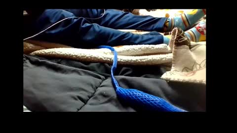 Snapshot of automaticmechanic chatting on 4, 12, 2024 Senior Agua online show from 4, 12, 2024