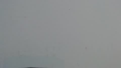 avanahomi online show from 20, 10, 2025