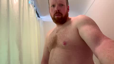 Dan online show from 2, 3, 2026