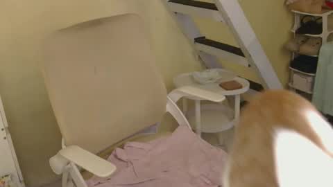 Snapshot of averageuncut1 chatting on 16, 2, 2026 Rhian online show from 16, 2, 2026