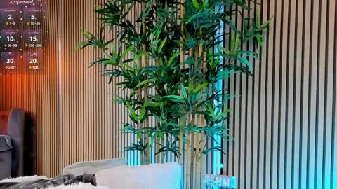 AVRILL CYRUX online show from 28, 1, 2025