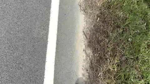 AylaTy online show from 15, 3, 2026