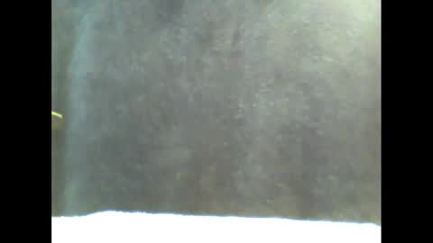 Snapshot of b1gg9inch chatting on 20, 1, 2025 b1gg9inch online show from 20, 1, 2025