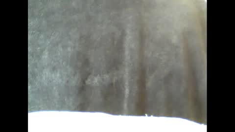 Snapshot of b1gg9inch chatting on 15, 2, 2025 b1gg9inch online show from 15, 2, 2025