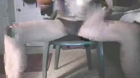 Snapshot of b_johnson420 chatting on 16, 11, 2025 bjohnson420 online show from 16, 11, 2025