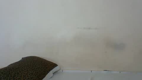 Rossy Kwekwe online show from 17, 2, 2026