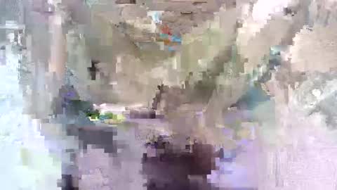 babymom1 online show from 7, 3, 2025