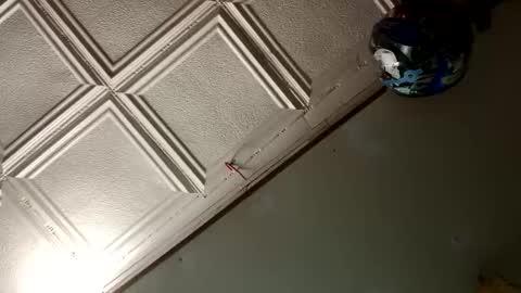 StillPoPimpin online show from 18, 1, 2025